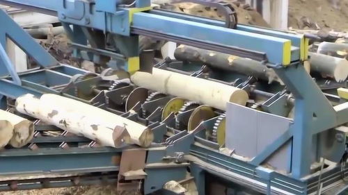 实拍木材自动化生产线去皮,切片全部靠机械